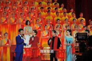 春晚彩排爆料视频下载安装,下载安装过程全记录